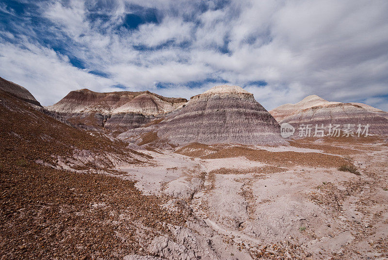 Blue Mesa的Badlands Formation